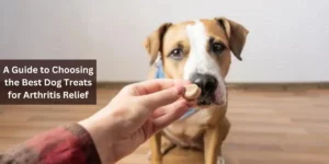 A Guide to Choosing the Best Dog Treats for Arthritis Relief