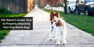 How to Properly Disposing Your Dog Waste Bags